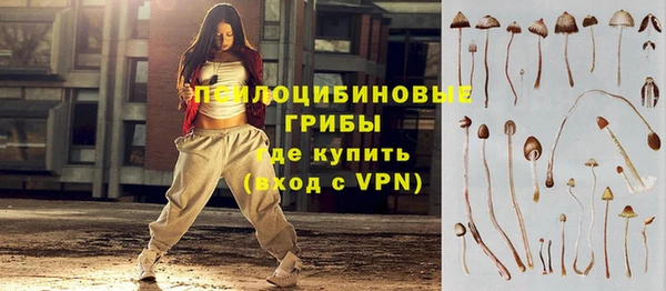 твердый Приозерск