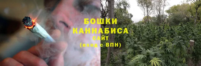 закладка  Чкаловск  Канабис Bruce Banner 