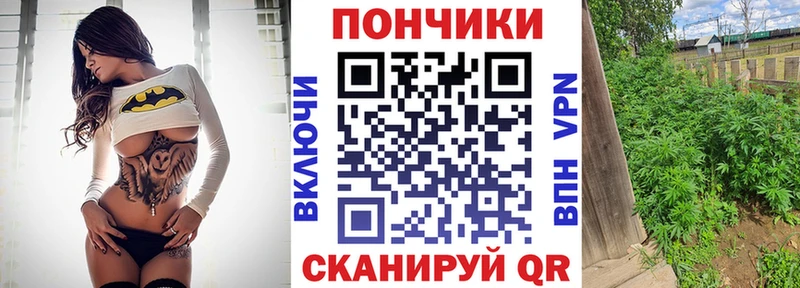 Конопля индика  KRAKEN ссылка  Чкаловск 